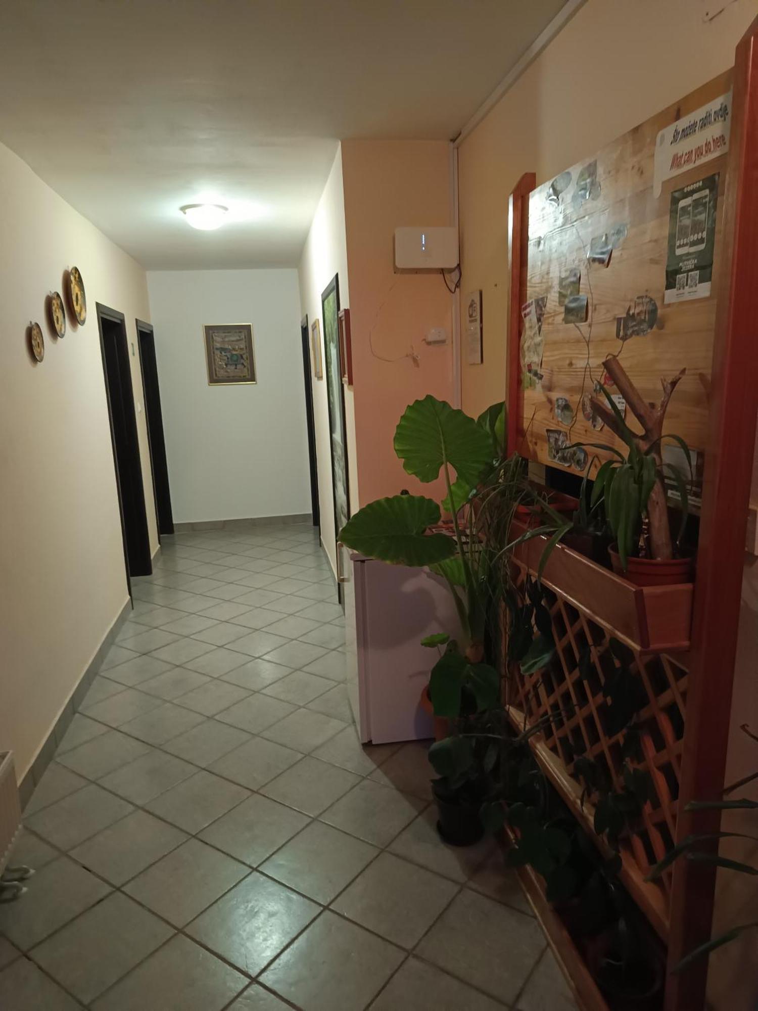 דרז'ניק גראד Guesthouse Pavlicic מראה חיצוני תמונה