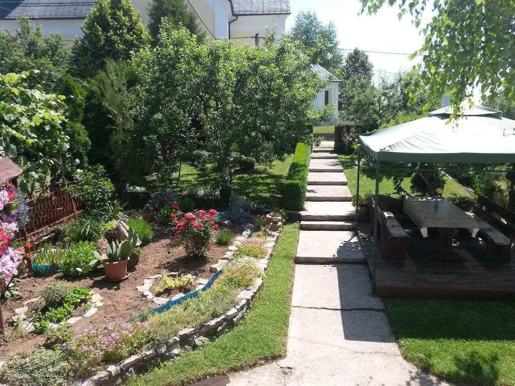 דרז'ניק גראד Guesthouse Pavlicic מראה חיצוני תמונה