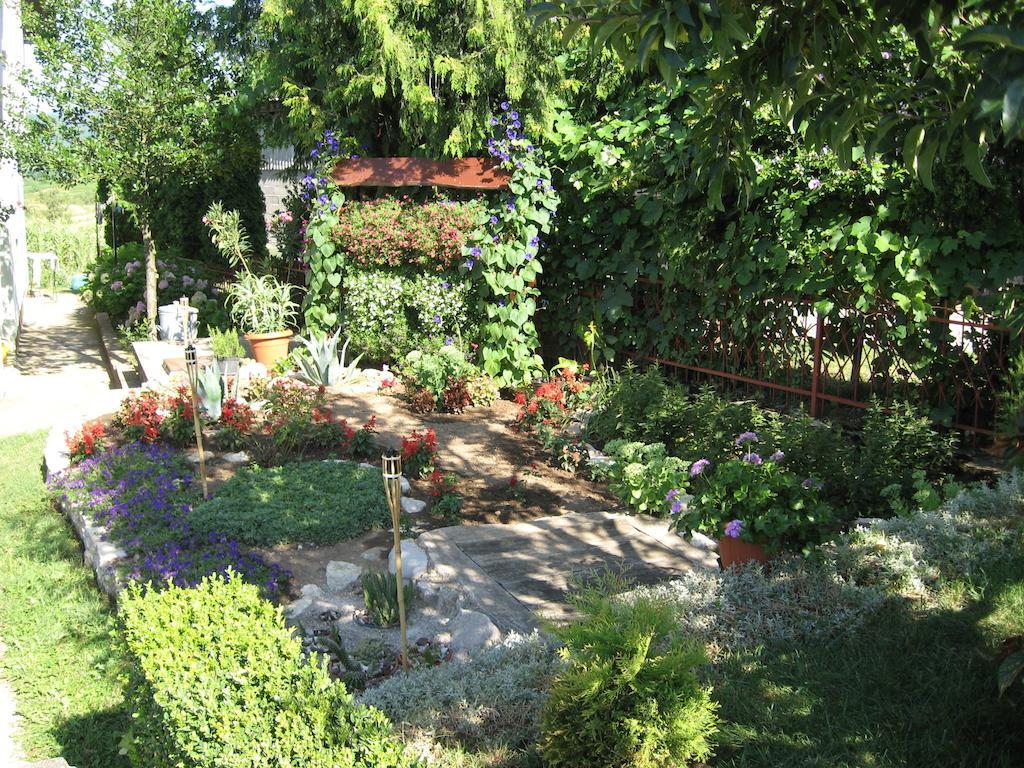 דרז'ניק גראד Guesthouse Pavlicic מראה חיצוני תמונה