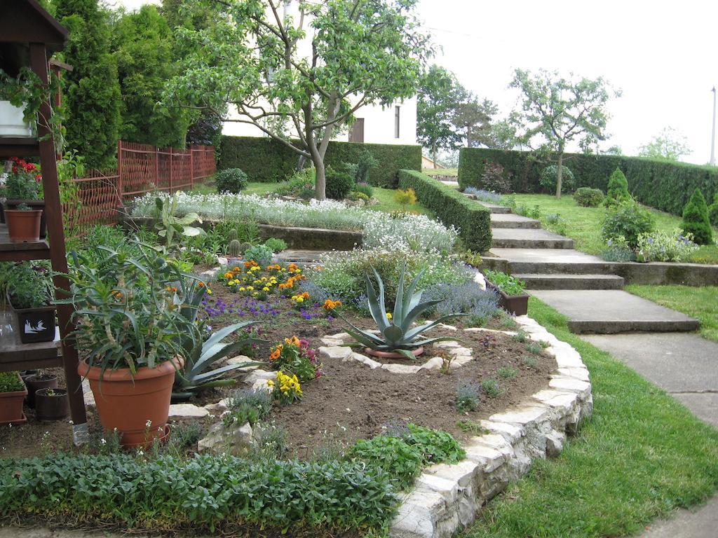 דרז'ניק גראד Guesthouse Pavlicic מראה חיצוני תמונה