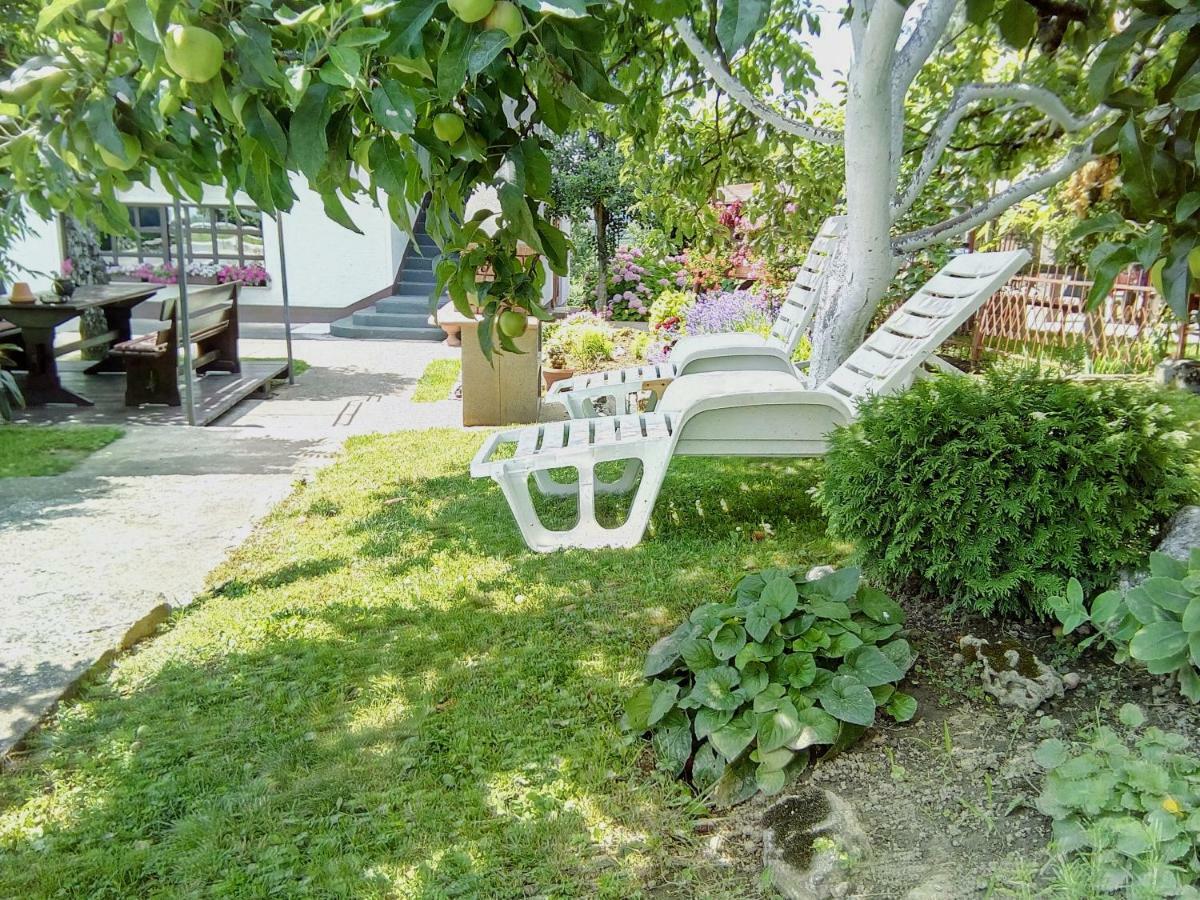 דרז'ניק גראד Guesthouse Pavlicic מראה חיצוני תמונה