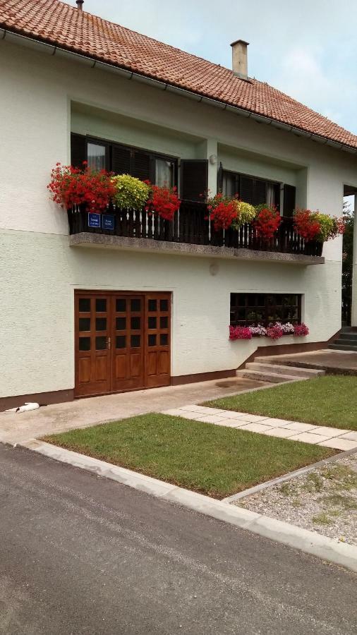 דרז'ניק גראד Guesthouse Pavlicic מראה חיצוני תמונה